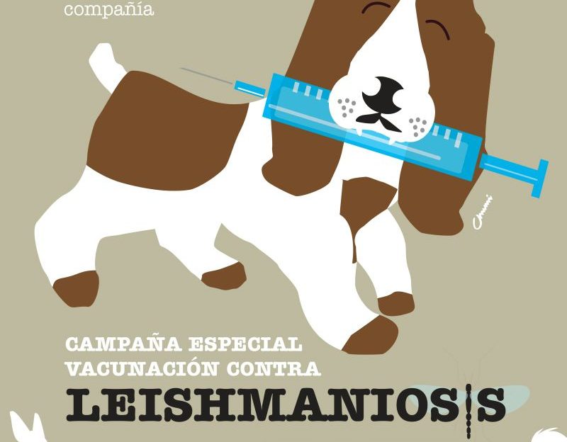 campaña Leishmaniosis