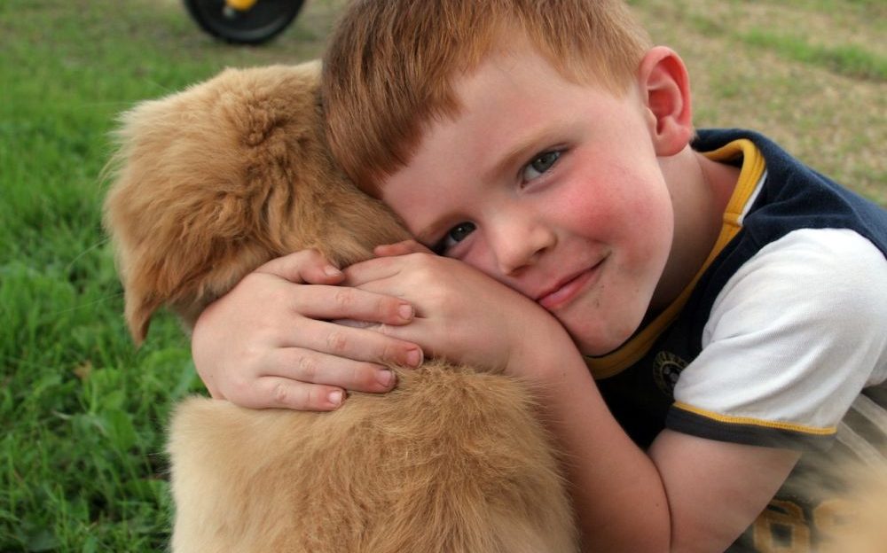 terapia asistida con animales para niños