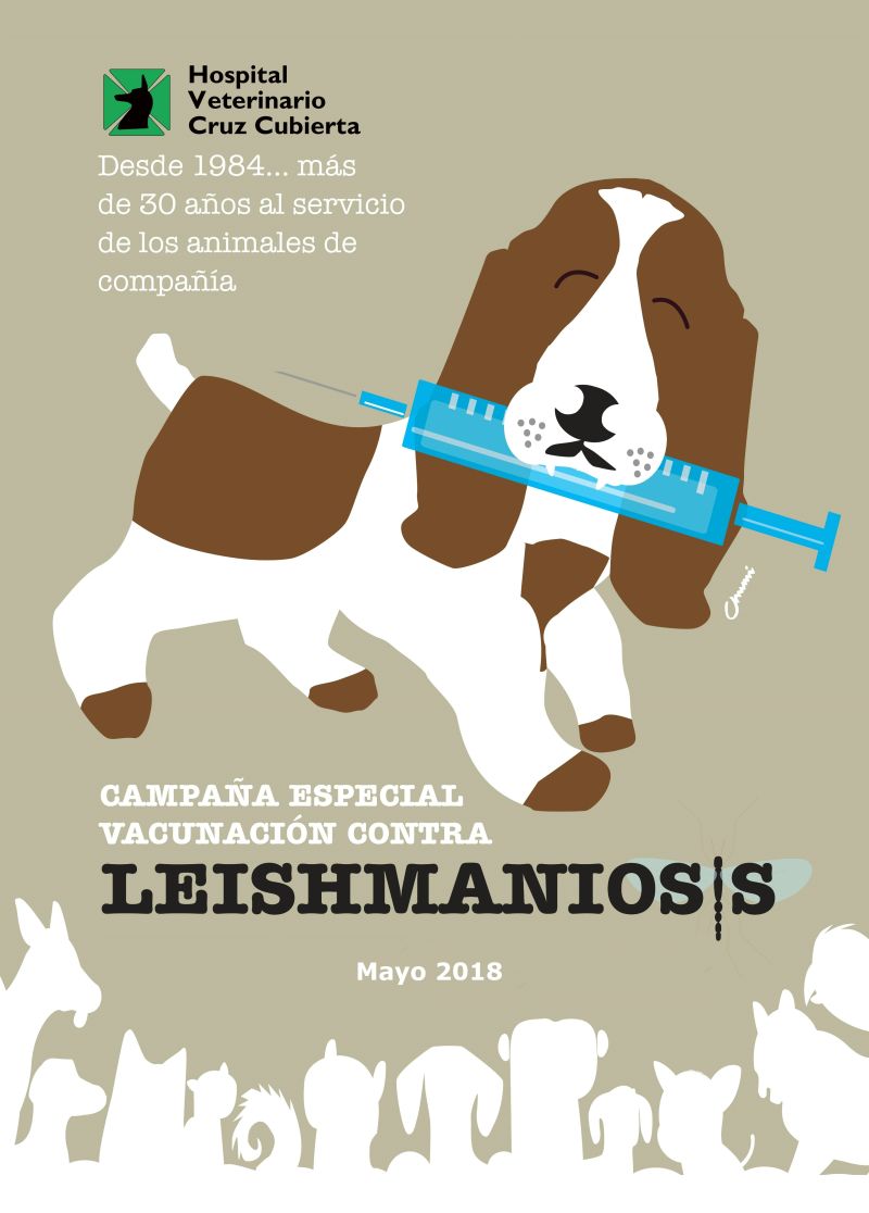 campaña de vacunación de Leishmaniosis
