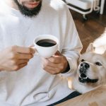 por qué no debes darle café a tu perro