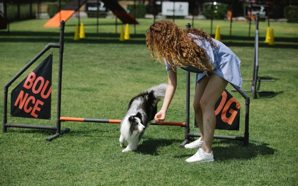 ejercicio con tu mascota