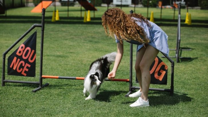 ejercicio con tu mascota