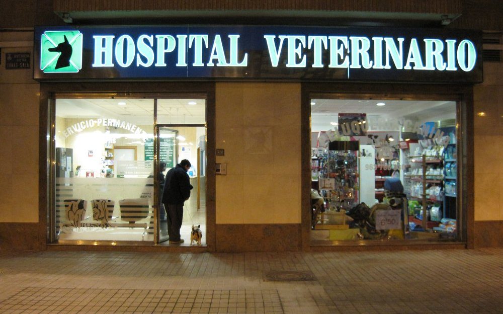 urgencia veterinaria
