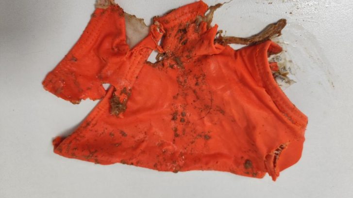 ingestion de bikini