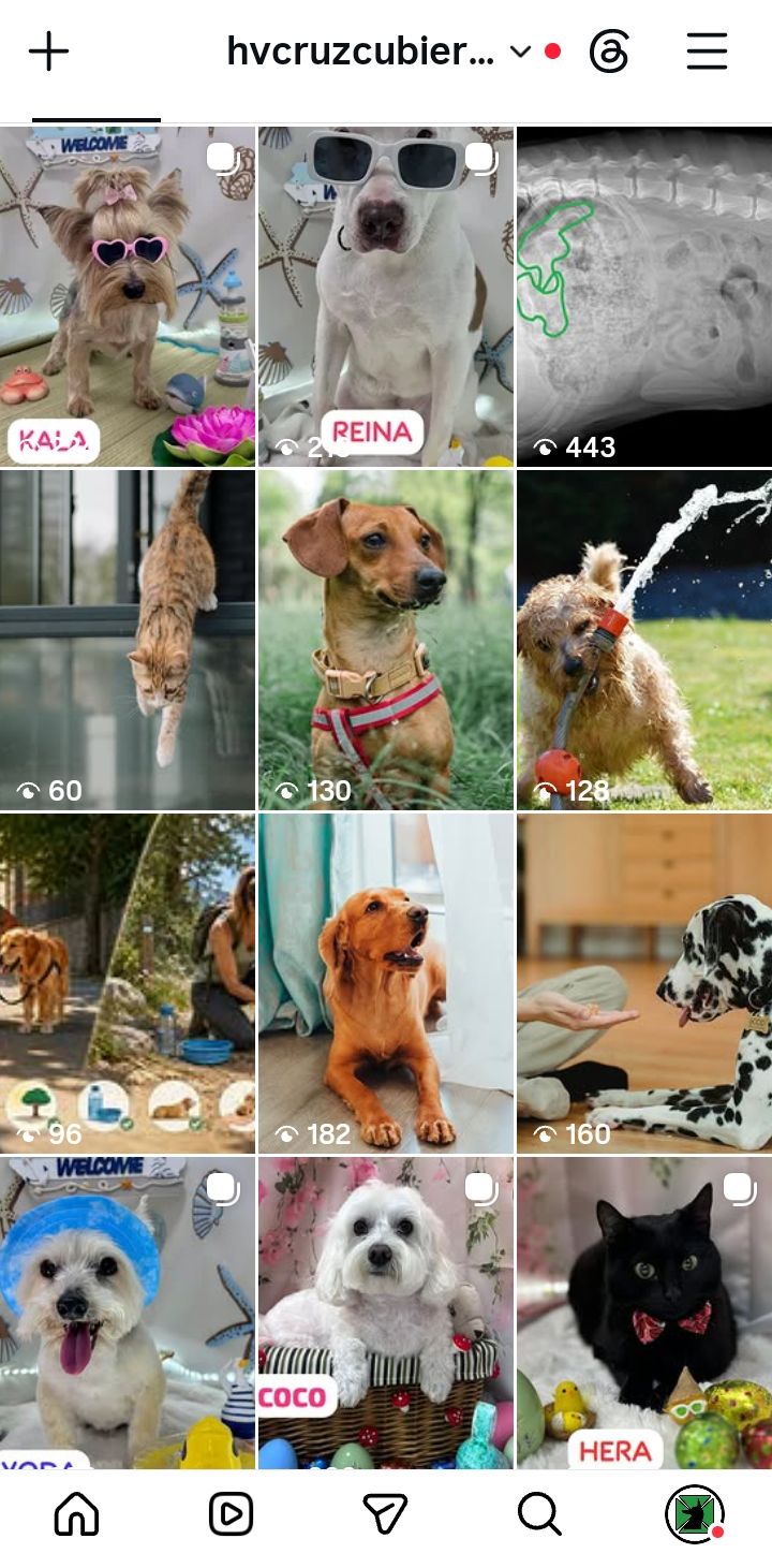Síguenos en Instagram