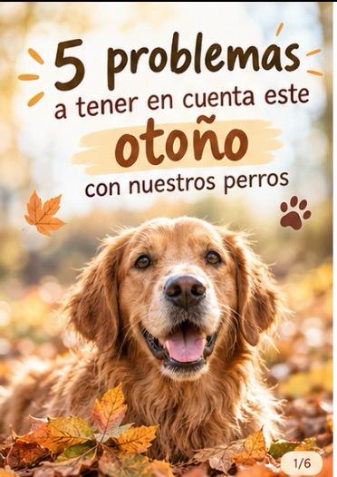 otoño con tu perro