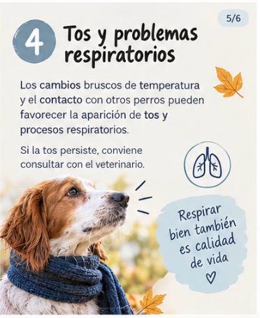 otoño con tu perro